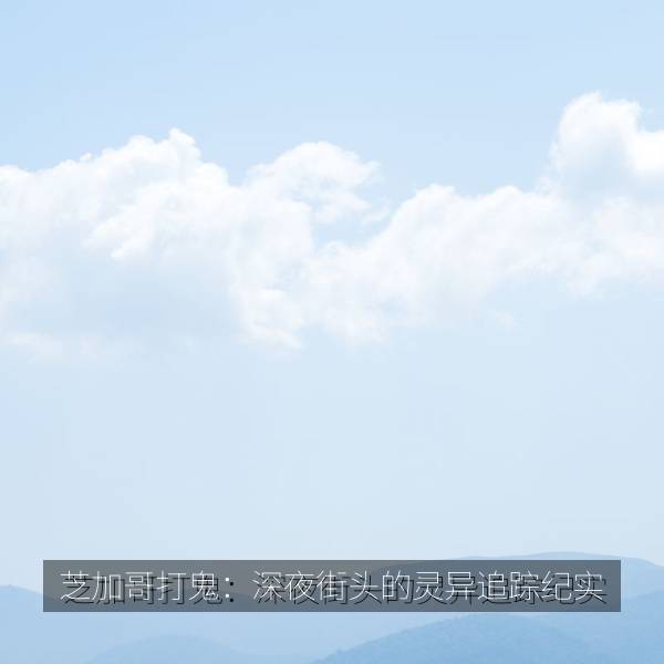 芝加哥打鬼：深夜街头的灵异追踪纪实 海报